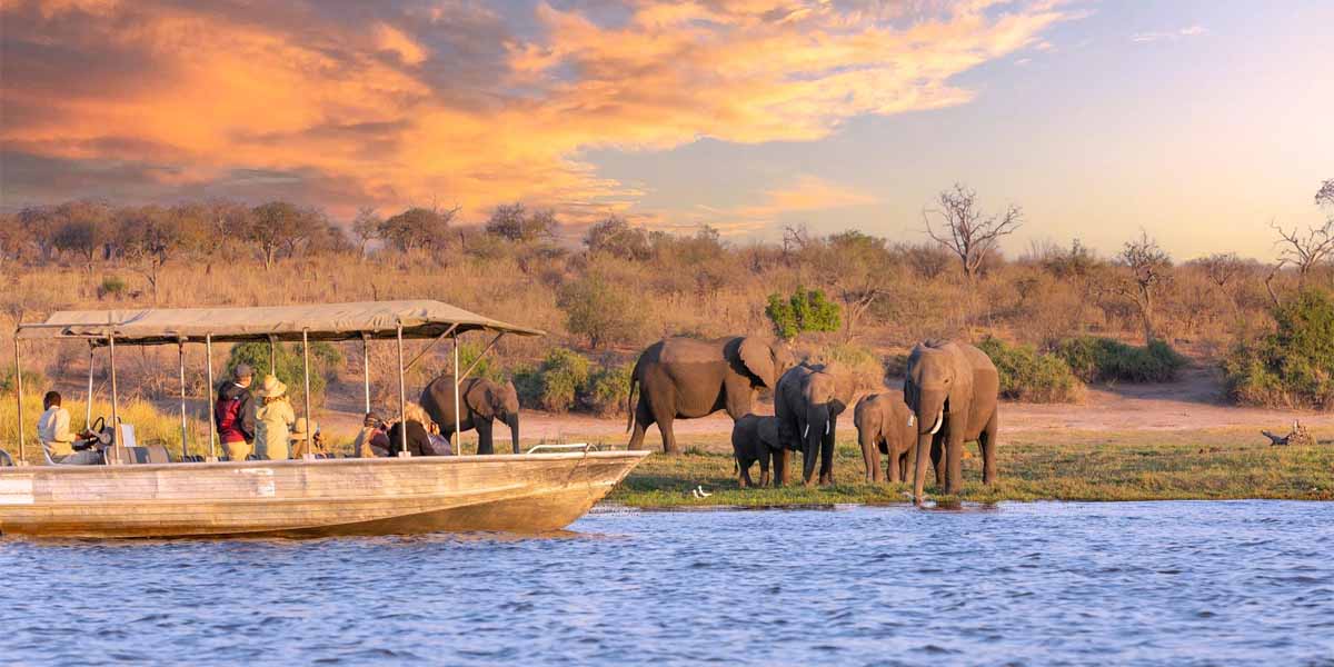 Information on African Safaris. African Safaris Youtube Videos: Information, Tour, Travel, Tourism, Business, Companies, Trade, Investment, Brands, Marketing, Tourism Marketing, Tourism Destinations, Business Markets Globally. Ugabox.com