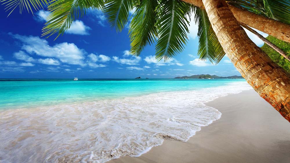 Beaches, Companies, Kampala Uganda, Business and Shopping Online Portal