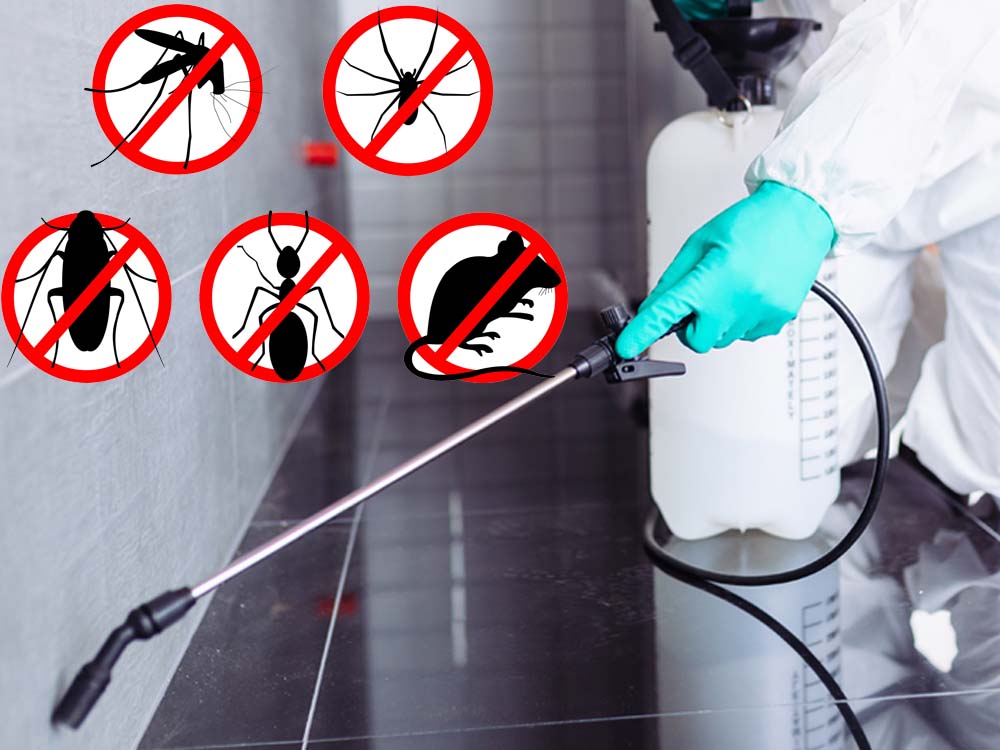 Fumigation and Pest Control in Kampala Uganda, Cleaning Services in Uganda, Home Cleaning, Office Cleaning, Industrial Cleaning Services in Uganda, Myriad Technology Services Uganda