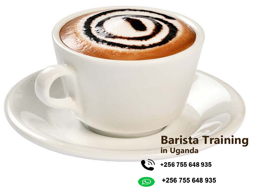 Barista Classes in Kampala Uganda, Skills Uganda, Coffee School, Barista Courses, Barista Training, Coffee Academy, Coffee Making Skills, Coffee Quality Control in Kampala Uganda, Benx Coffee Shop Kampala Uganda, Ugabox