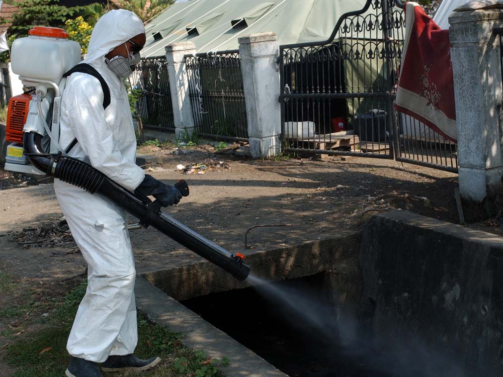 Promise Fumigators Kampala Uganda. Uganda Experts in Fumigation, Pest Control & Cleaning Services: Homes, Offices, Hospitals, Schools, Hotels, Restaurants, Supermarkets, Residential Homes & Apartments. Ugabox.com