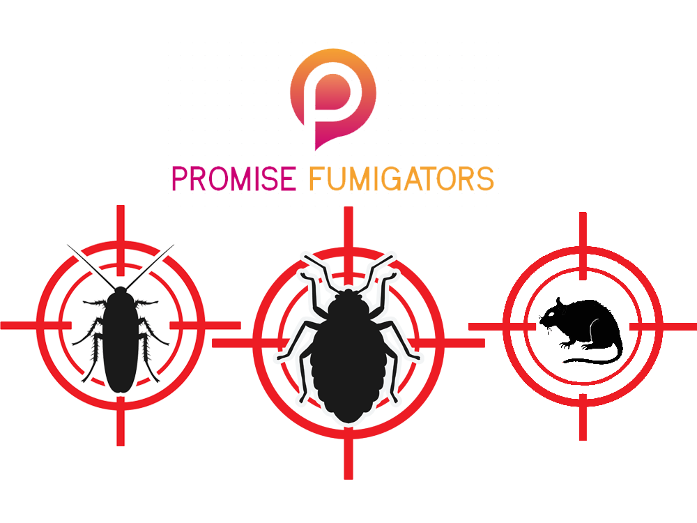 Promise Fumigators Kampala Uganda. Uganda Experts in Fumigation, Pest Control & Cleaning Services: Homes, Offices, Hospitals, Schools, Hotels, Restaurants, Supermarkets, Residential Homes & Apartments. Ugabox.com