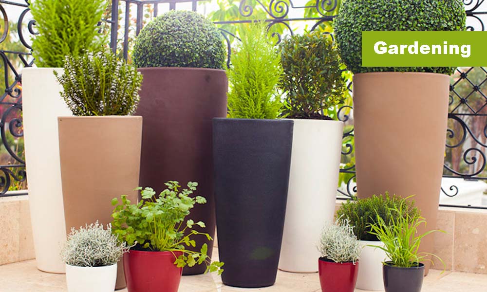 Gardening & Landscaping Kampala Uganda, Lawn Business and Gardening Companies Kampala Uganda