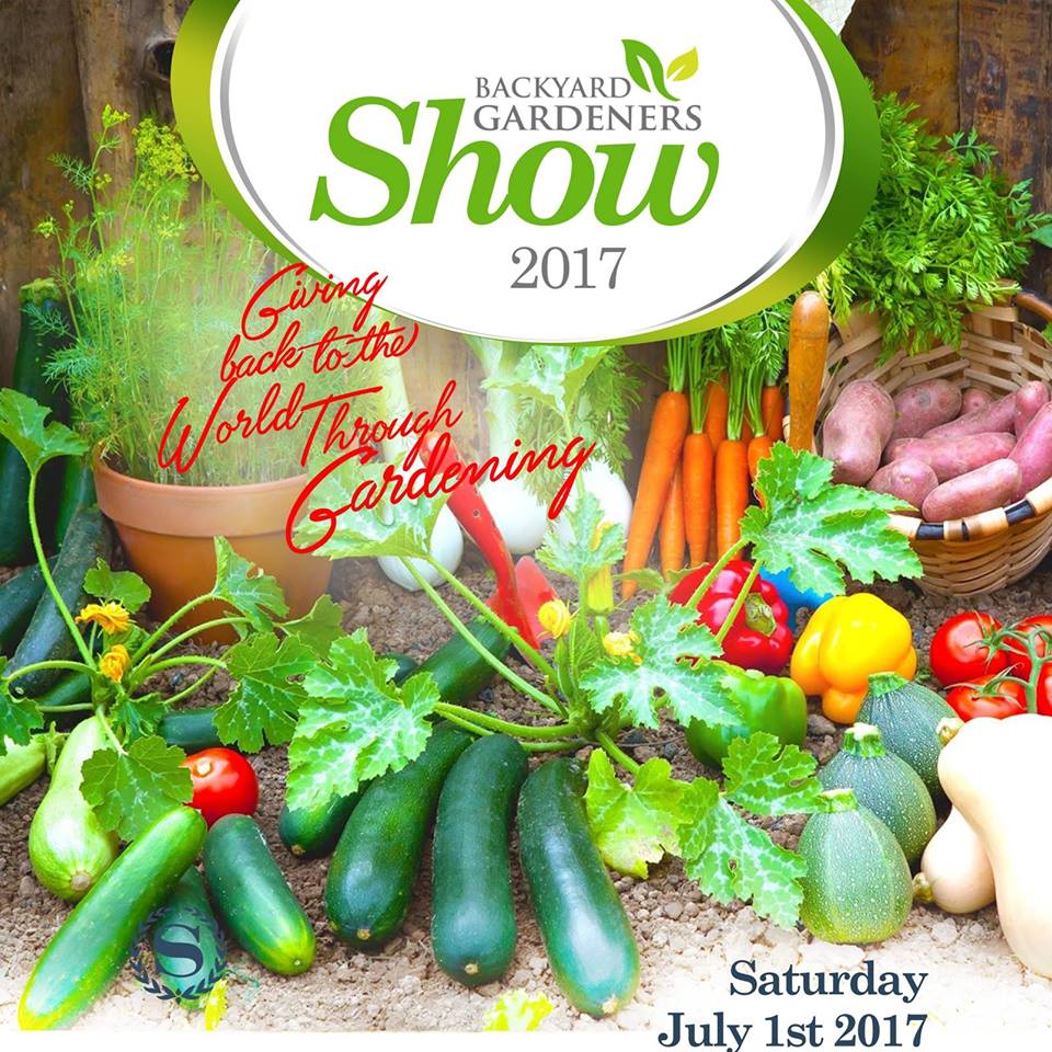 The Essential Gardening Tips for the Backyard Gardener Kampala Uganda, Ugabox