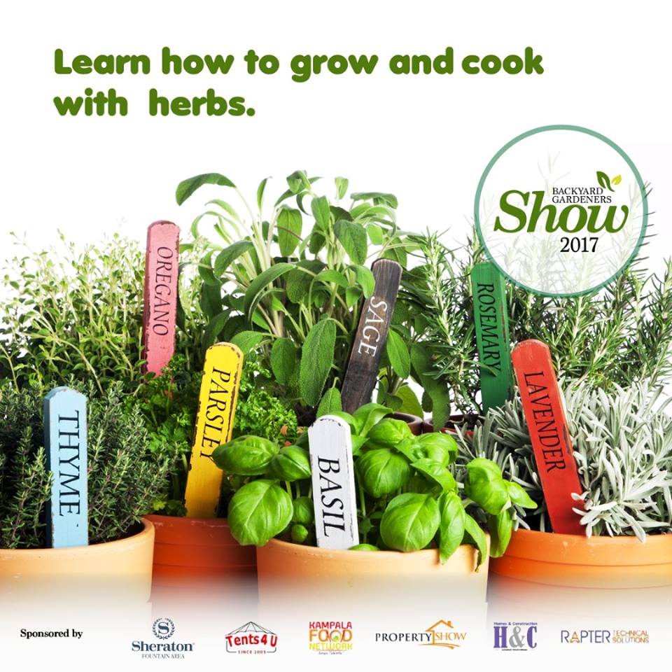 The Essential Gardening Tips for the Backyard Gardener Kampala Uganda, Ugabox