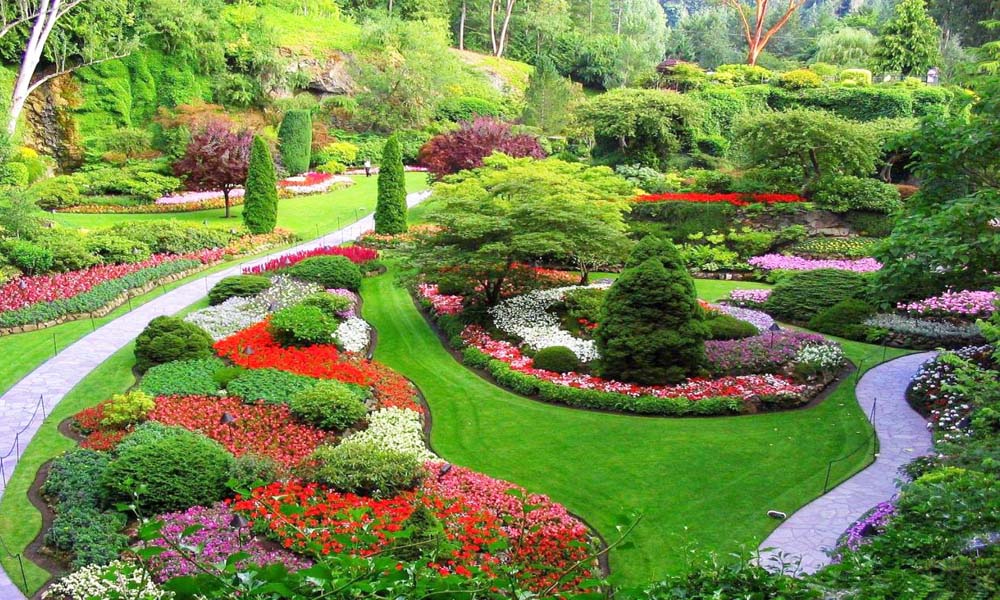 The Potting Shed Kampala Uganda Gardening and Landscaping for Home Decor, Interior & Exterior Design, Herbs, Flowers, Flower Pots Kampala Uganda, Ugabox