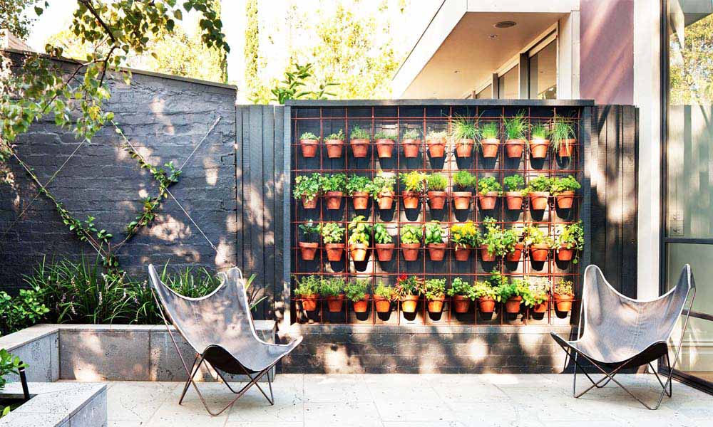 The Potting Shed Kampala Uganda Gardening and Landscaping for Home Decor, Interior & Exterior Design, Herbs, Flowers, Flower Pots Kampala Uganda, Ugabox