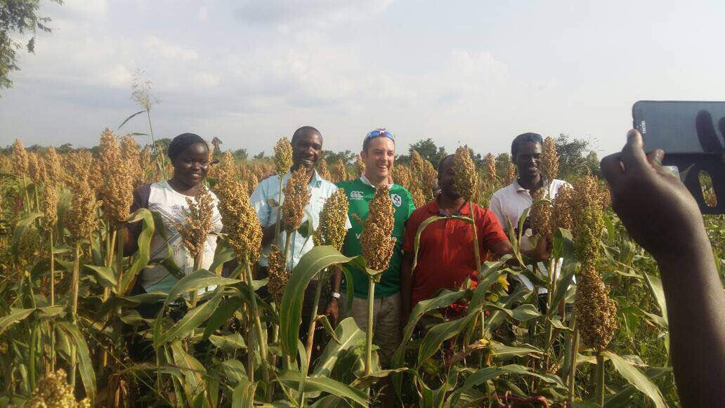 Talian Grain Millers Uganda, Kampala Maize and Cassava Milling, Food Processing & Farming, Suppliers of Maize Flour & Cassava Flour, Suppliers of Flour Milling Machinery for Maize, Wheat, Cassava, & Rice, Talian Company Uganda