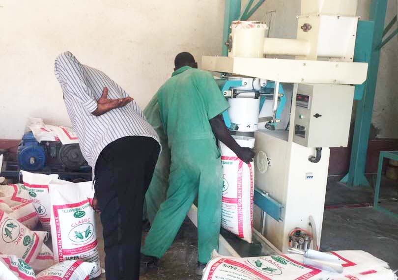 Talian Grain Millers Uganda, Kampala Maize and Cassava Milling, Food Processing & Farming, Suppliers of Maize Flour & Cassava Flour, Suppliers of Flour Milling Machinery for Maize, Wheat, Cassava, & Rice, Talian Company Uganda