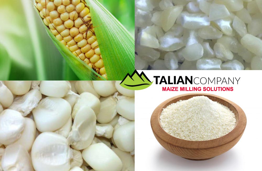 Talian Grain Millers Uganda, Maize Processing, Maize & Cassava Flour, Agro Processing of Cassava & Maize, Sorghum Grower, Talian Company Uganda Factory in Mukono