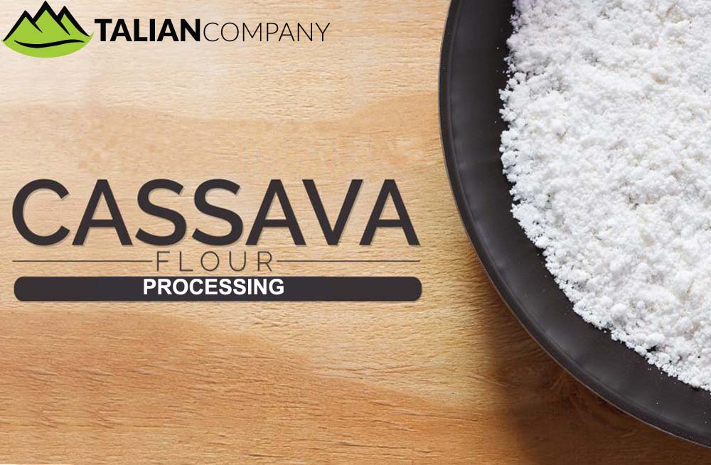 Talian Grain Millers Uganda, Maize Processing, Maize & Cassava Flour, Agro Processing of Cassava & Maize, Sorghum Grower, Talian Company Uganda Factory in Mukono