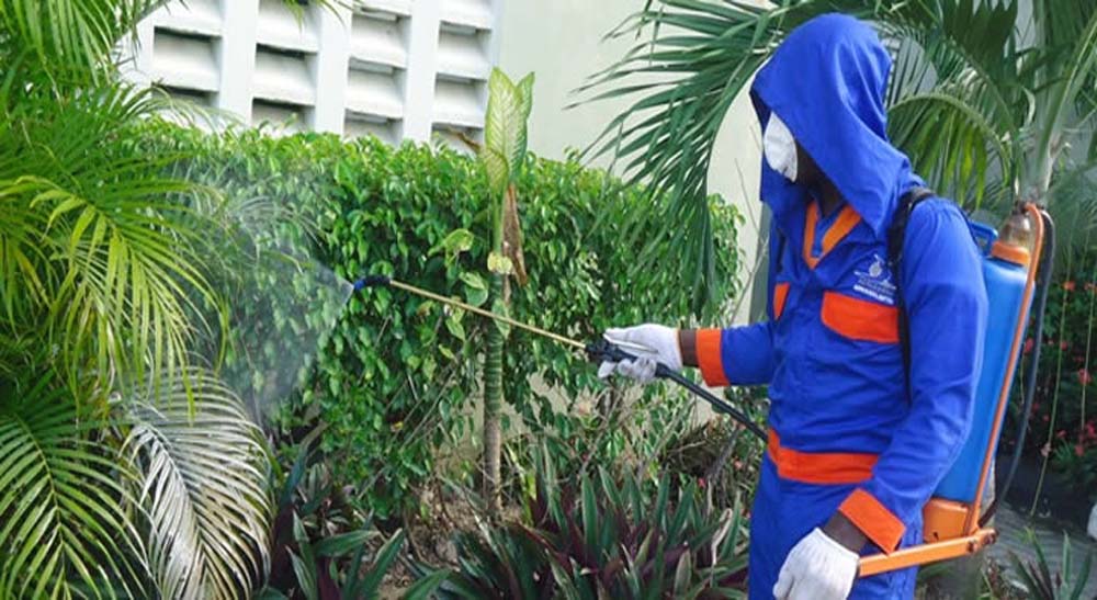 Nob Cleaners, Garbage Collection, Desposal, Fumigation, Pest Control, Sofa, Carpet, Cleaning, Compound Maintenance, Refuse, Rubbish Collection, Kampala, Uganda-Ugabox.com