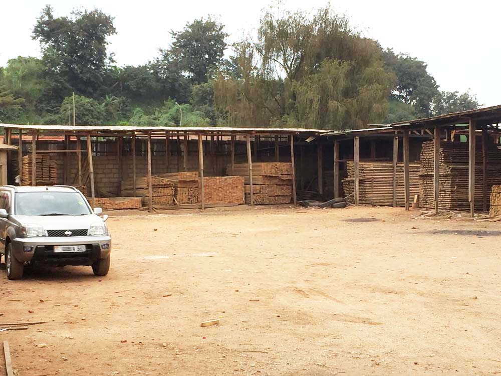 Besepo Uganda, Tree Growers, Uganda Timber Dealers, Timber Supply of Pine Timber, Mahogany Timber, Eucalyptus Timber, Hardwood, Softwood, Timbers  Ndeeba Kampala Uganda, Ugabox
