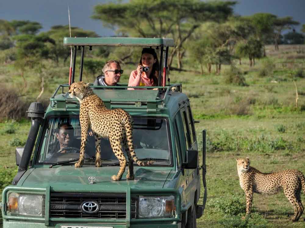 Tours And Travel Car Hire Services in Uganda. Tours And Travel Executive Cars | Executive Bridal Transport/ Bridal Cars. Mutinisa Motors And Safaris Ltd-Uganda For All Executive Tour Car Hire Services in Kampala Uganda, Ugabox