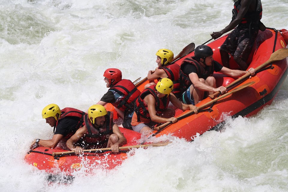 1000 Shades of Green Tour and Safaris Uganda, Gorilla Tracking, Chimpanzee Tracking, Mountaineering, White Water Rafting, Wildlife Viewing, Birding, Honeymoon, Culture & Nature Tours, Primate Safaris, Kigali Rwanda & Kampala Uganda