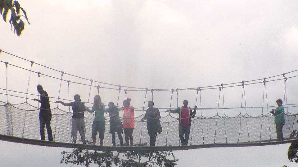 AA Safaris and Tours Uganda, Gorilla Tracking, Chimpanzee Tracking, Mountaineering, White Water Rafting, Wildlife Viewing, Birding, Honeymoon Holidays, Culture & Nature Tours, Primate Safaris, Rwanda & Uganda, East Africa