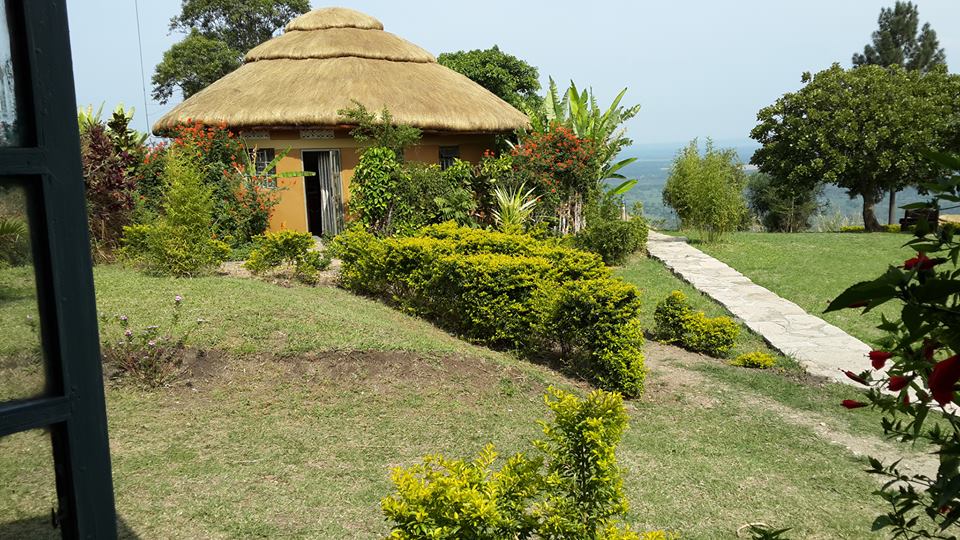 Acacia safaris, Tours & Travel Uganda, Gorilla Tracking, Chimpanzee Tracking, Mountaineering, White Water Rafting, Wildlife Viewing, Birding, Honeymoon, Cultural & Nature Tours, Primate Safaris, East Africa