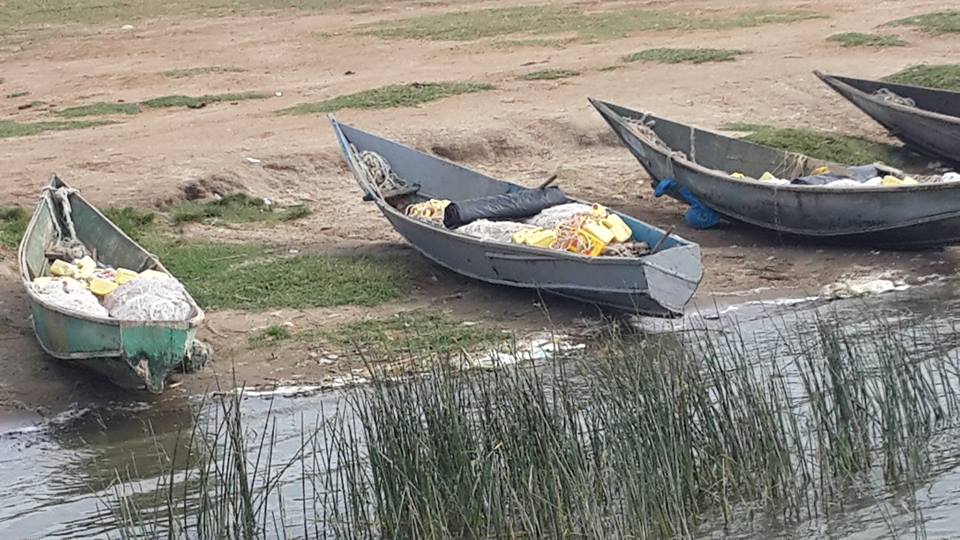 Acacia safaris, Tours & Travel Uganda, Gorilla Tracking, Chimpanzee Tracking, Mountaineering, White Water Rafting, Wildlife Viewing, Birding, Honeymoon, Cultural & Nature Tours, Primate Safaris, East Africa