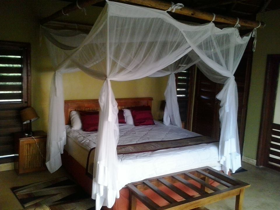 Acacia safaris, Tours & Travel Uganda, Gorilla Tracking, Chimpanzee Tracking, Mountaineering, White Water Rafting, Wildlife Viewing, Birding, Honeymoon, Cultural & Nature Tours, Primate Safaris, East Africa