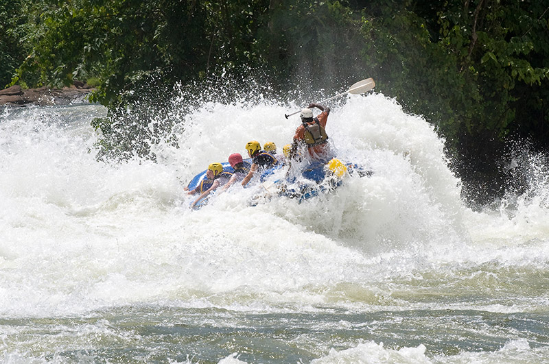 Around Africa Safaris Uganda, Mountain gorilla trekking, Chimpanzee trekking, Safari game drives, 1000+ bird species, 330 mammal species, Birding, White water rafting, Rwenzori mountain hikes, River Nile boat rides, Community tourism, Uganda