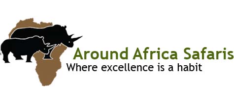 Around Africa Safaris Uganda, Mountain gorilla trekking, Chimpanzee trekking, Safari game drives, 1000+ bird species, 330 mammal species, White water rafting, Rwenzori mountain hikes, River Nile boat rides, Community tourism, Uganda