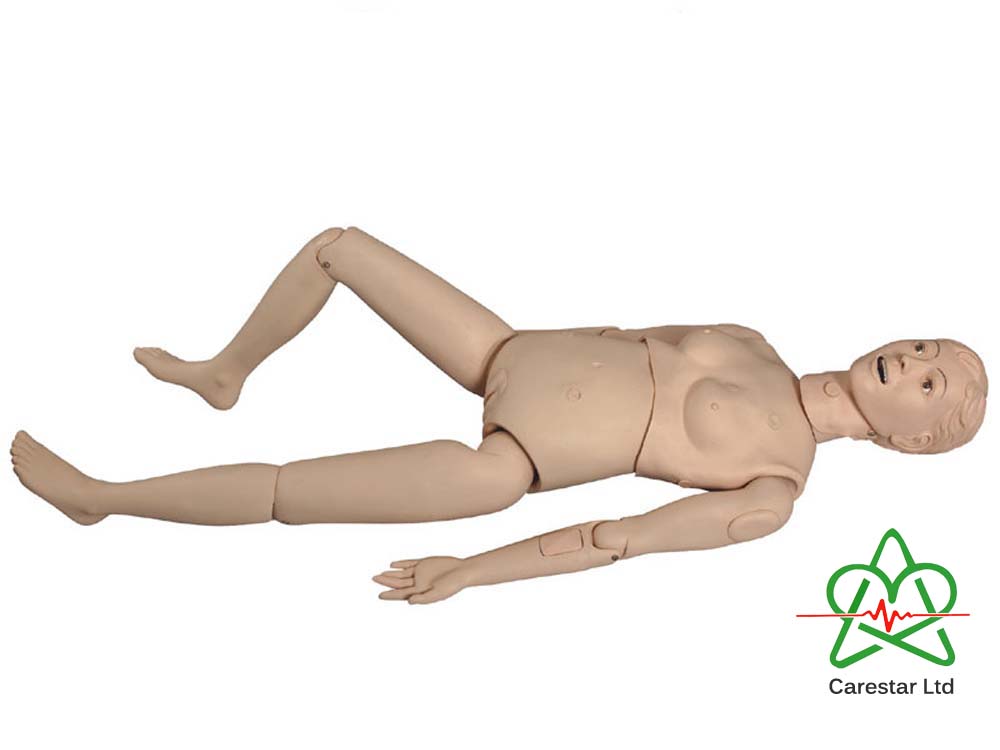 Anatomical Medical Training Models for Sale in Kampala Uganda. Medical Training Models/Dummies in Uganda, Medical Supply, Medical Equipment, Hospital, Clinic & Medicare Equipment Kampala Uganda, CareStar Ltd Uganda, Ugabox