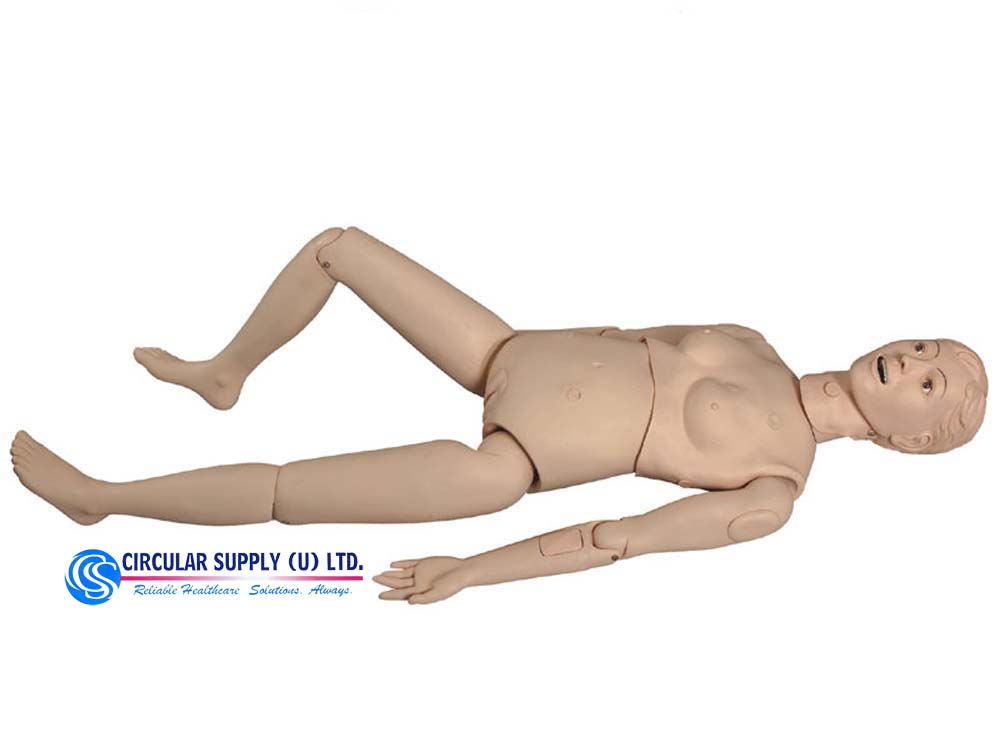 Anatomical Training Models for Sale in Kampala Uganda. Medical Training Models/Dummies in Uganda, Medical Supply, Medical Equipment, Hospital, Clinic & Medicare Equipment Kampala Uganda, Circular Supply Uganda, Ugabox