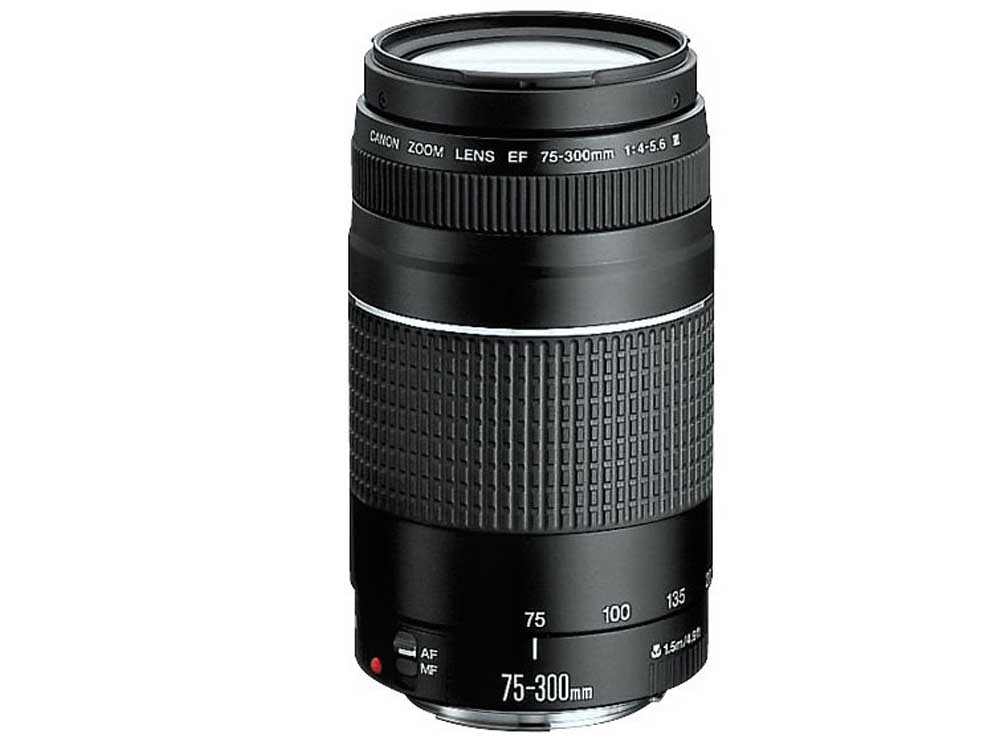 Canon EF 75-300mm Lens for Sale Kampala Uganda, Professional Camera Lenses Uganda, Photography, Film & Video Cameras, Video Equipment Shop Kampala Uganda, Ugabox