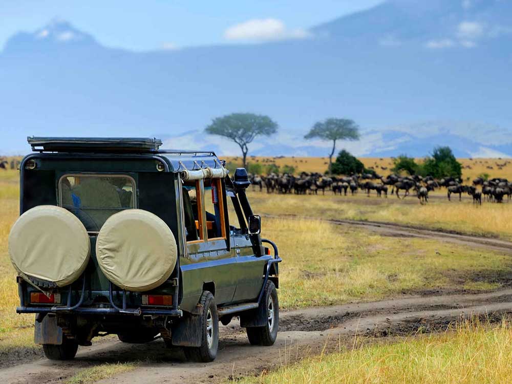 Travel and tours in Uganda, Kenya, Rwanda And Tanzania. East Africa is a popular region for travel and tours, offering a wide range of experiences from iconic wildlife safaris to mountain trekking and site seeing. Ugabox.com